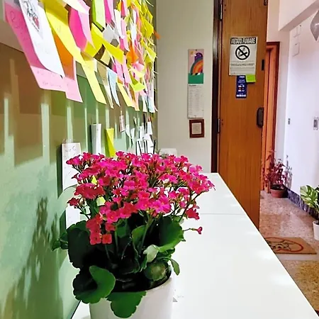 Prime Guest House * Pisa