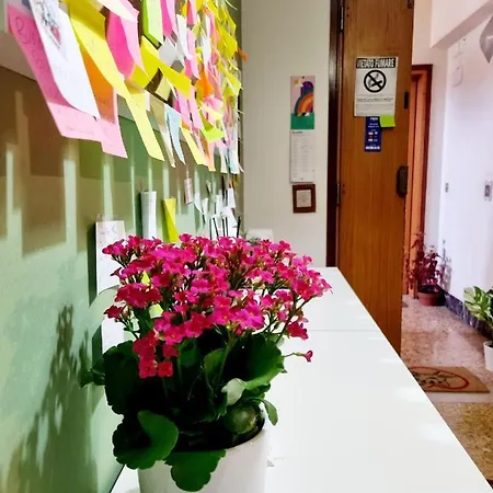 Prime Alojamento de Acomodação e Pequeno-almoço